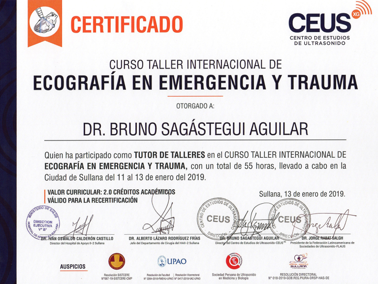 2019-1